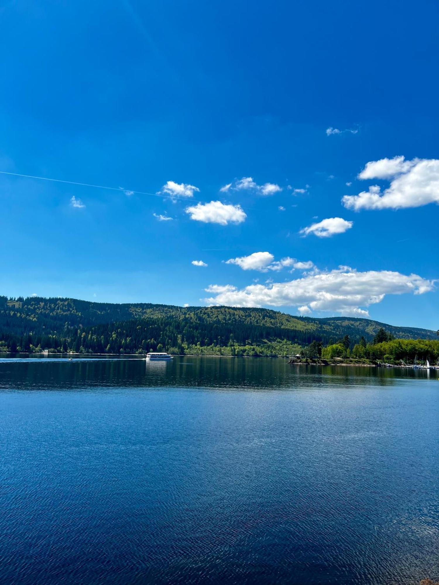 Schluchseeblick Apartment Schluchsee